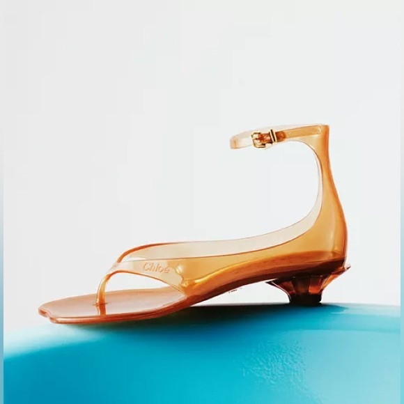 Chloe Shoes - Chloe Brown Sandals Elegant Leather Straps